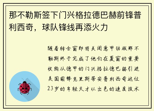 那不勒斯签下门兴格拉德巴赫前锋普利西奇，球队锋线再添火力